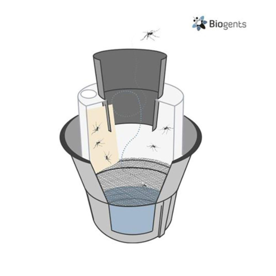 Piège à moustiques - BG-GAT (x1 piège)