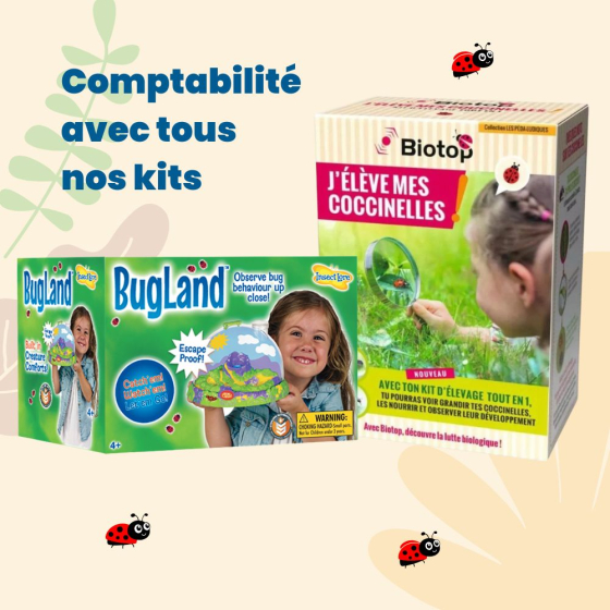 Recharge pour kit : J'élève mes coccinelles