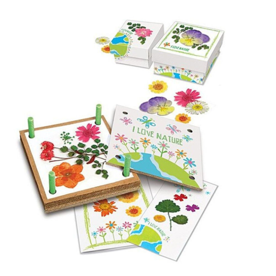Kit fleurs pressées