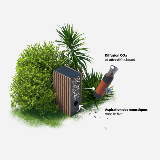 Pack Piège à moustiques - Bois Wiliv (avec CO2 et attractif inclus)