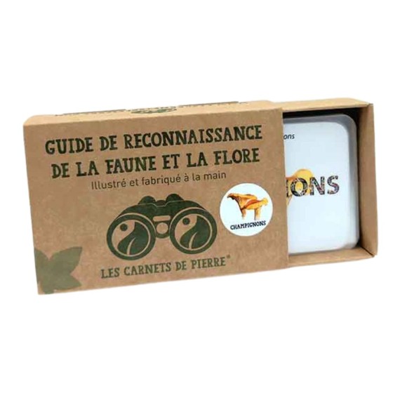 Carnet Champignons Carnet Champignons