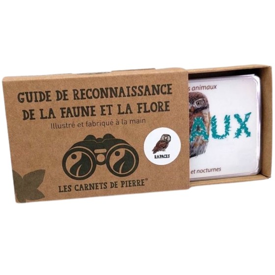 Carnet Rapaces Carnet Rapaces