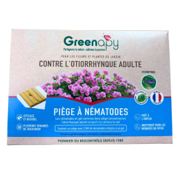 Piège Otiorrhynques adultes