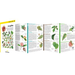 Miniguide 129 - Les galles