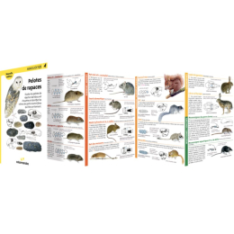 Miniguide 125 - Pelotes de rapaces