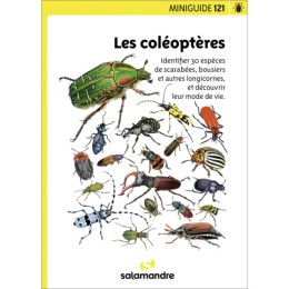 Miniguide 121 - Les coléoptères