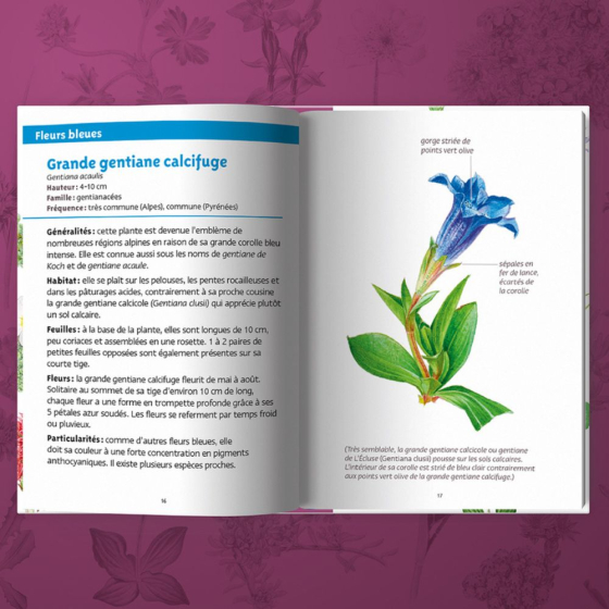 Les petits livres de la nature - Fleurs des montagnes
