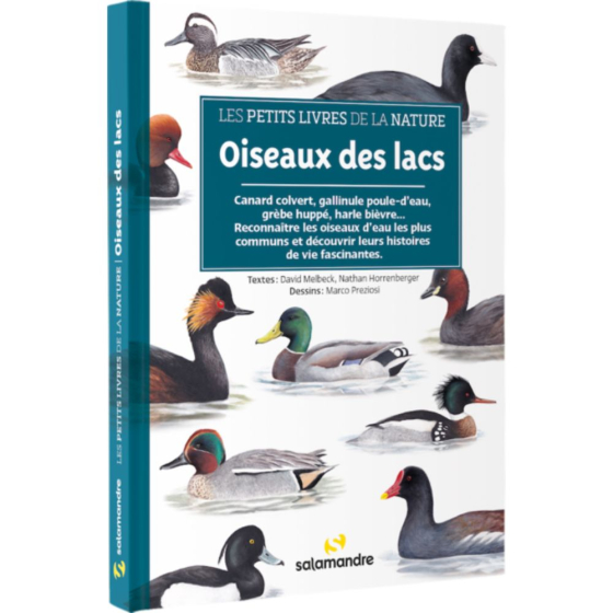 Les petits livres de la nature - Oiseaux des lacs Les petits livres de la nature - Oiseaux des lacs