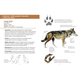 Les petits livres de la nature - Gros mammifères