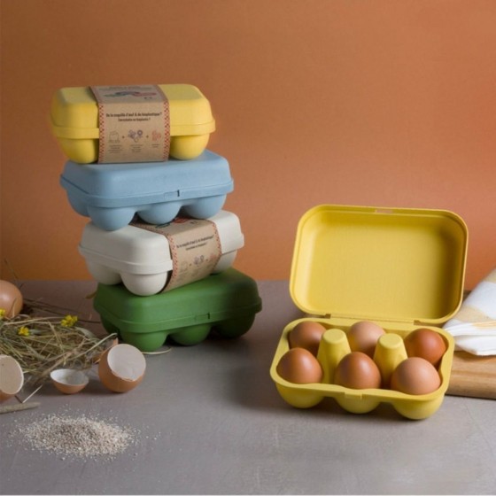 Boîte 6 oeufs coquille - Jaune