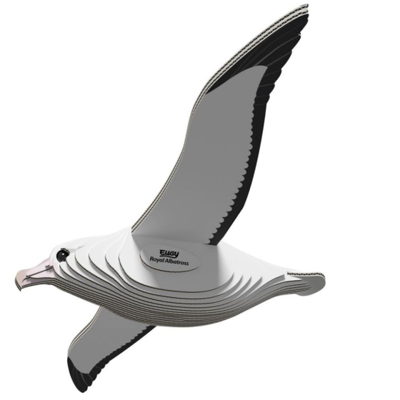 Albatros royal – Eugy 3D