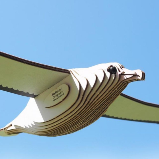 Albatros royal – Eugy 3D