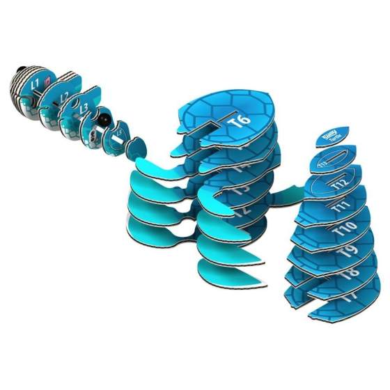 Tortue – Eugy 3D