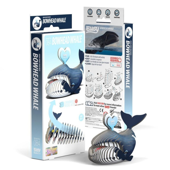 Baleine boréale – Eugy 3D