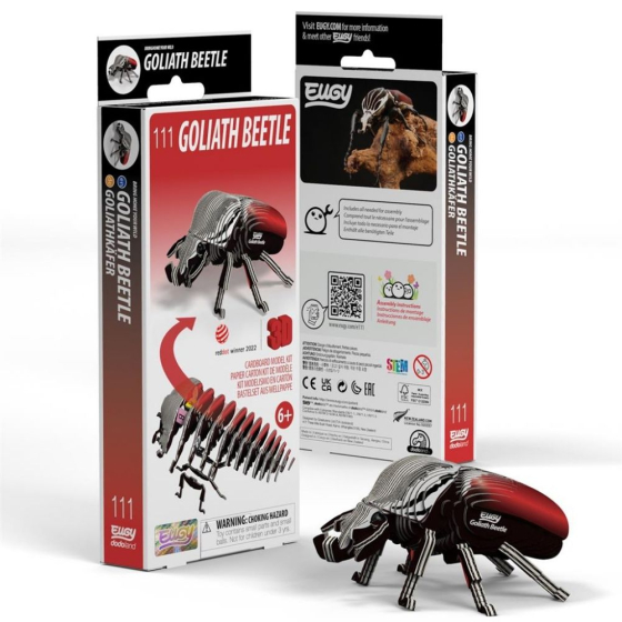Coléoptère Goliath – Eugy 3D Coléoptère Goliath – Eugy 3D