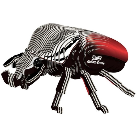 Coléoptère Goliath – Eugy 3D
