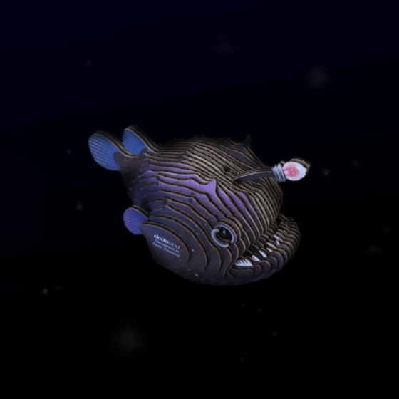 Lotte de mer – Eugy 3D