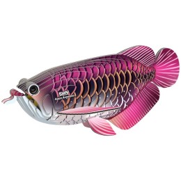 Poisson-dragon – Eugy 3D