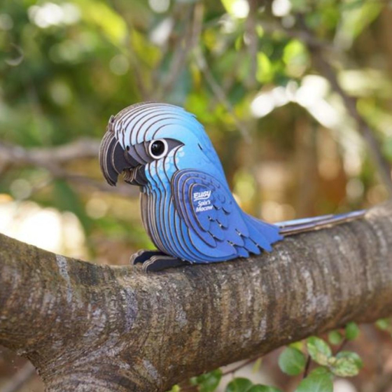 Ara de Spix – Eugy 3D