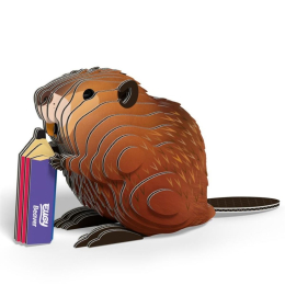 Castor – Eugy 3D