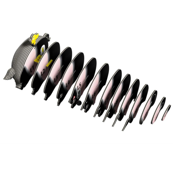 Cochon – Eugy 3D