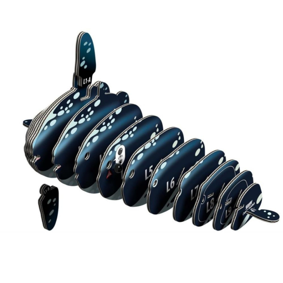 Poisson-lune – Eugy 3D