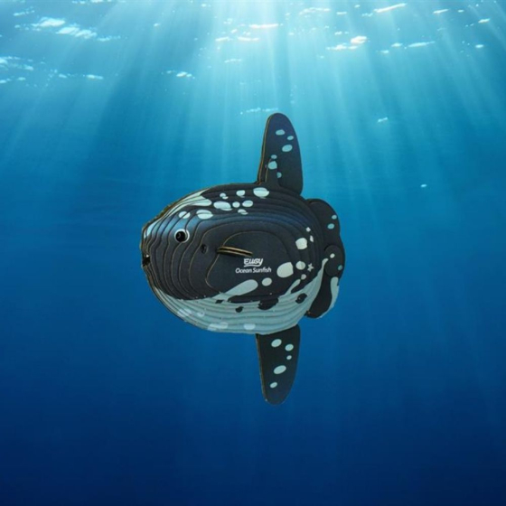 Poisson-lune – Eugy 3D