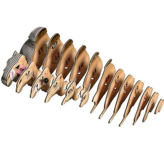 Chameau – Eugy 3D Chameau – Eugy 3D