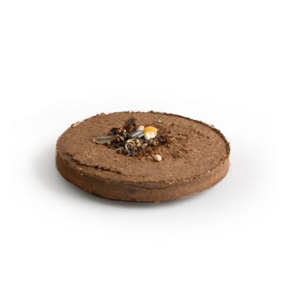 Fleurs Bleues à lancer