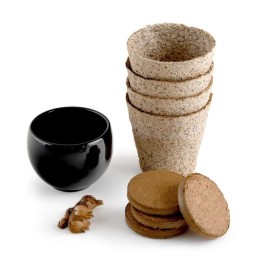 Kit trèfle porte bonheur