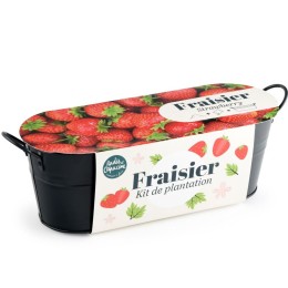 Jardinière zinc noir 30 cm - Fraisier