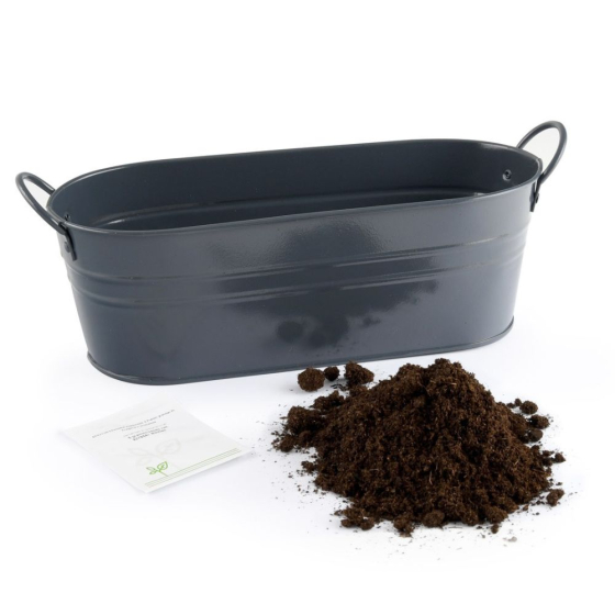 Jardinière zinc noir 30 cm - Fraisier