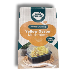 Kit culture Pleurotes jaunes Minichamp 3 litres