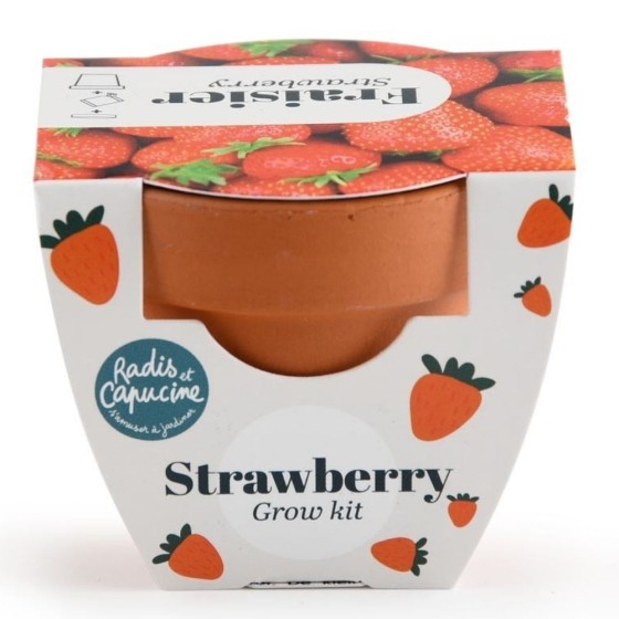 Mini kit 6 cm - Fraise