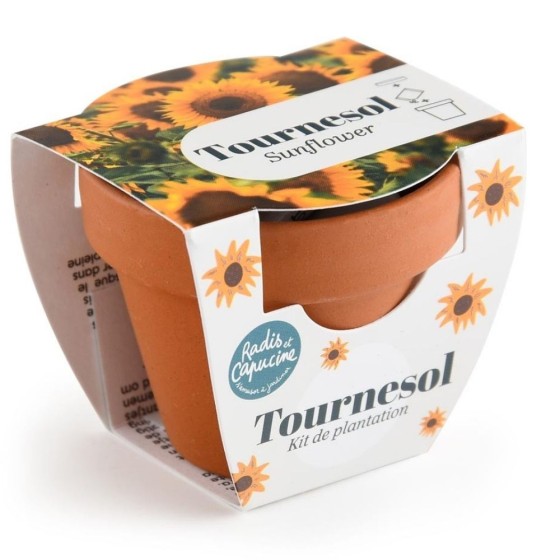 Mini kit 6 cm - Tournesol