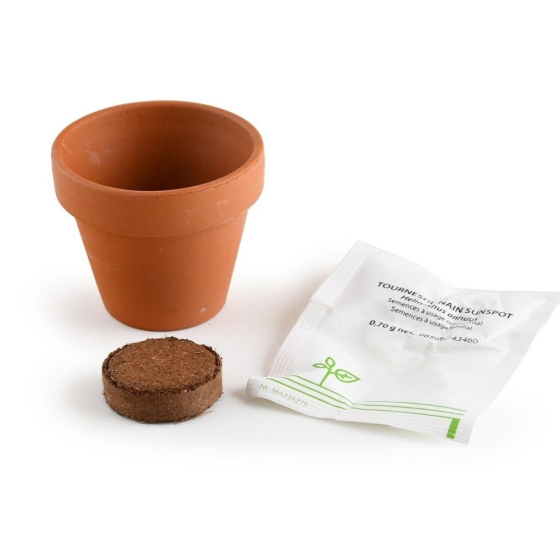 Mini kit 6 cm - Tournesol