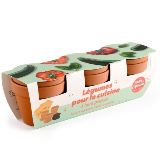 Trio légumes bio pour la cuisine – Tomate marmande / Basilic / Courgette