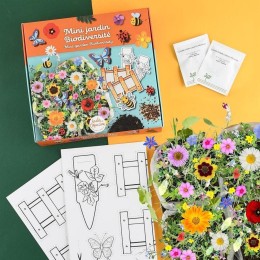 Mini jardin fleurs de biodiversité