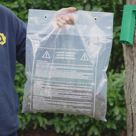 Sac transparent pour Kit Procerex chenilles processionnaires