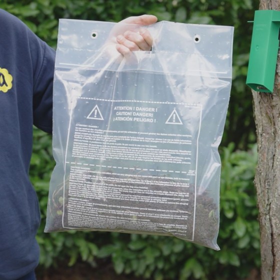 Sac transparent pour Kit Procerex chenilles processionnaires