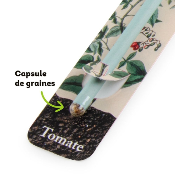 Crayon à planter avec graines - Basilic