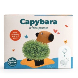 Capybara terre cuite poreuse avec graines de chia
