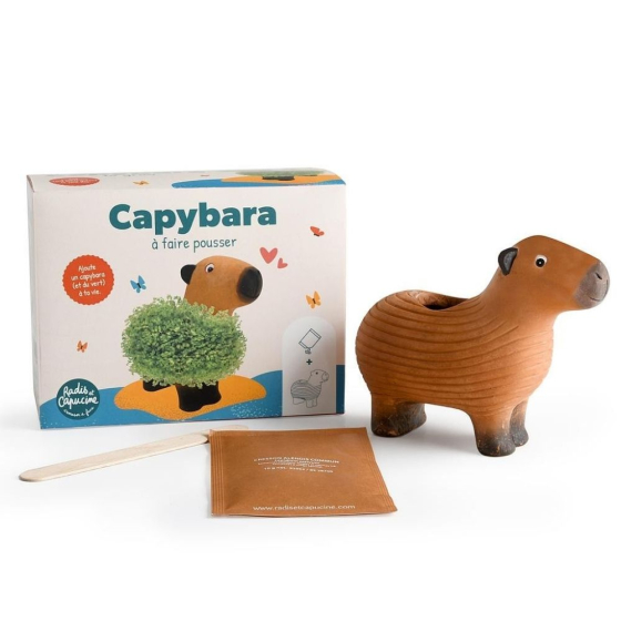 Capybara terre cuite poreuse avec graines de chia