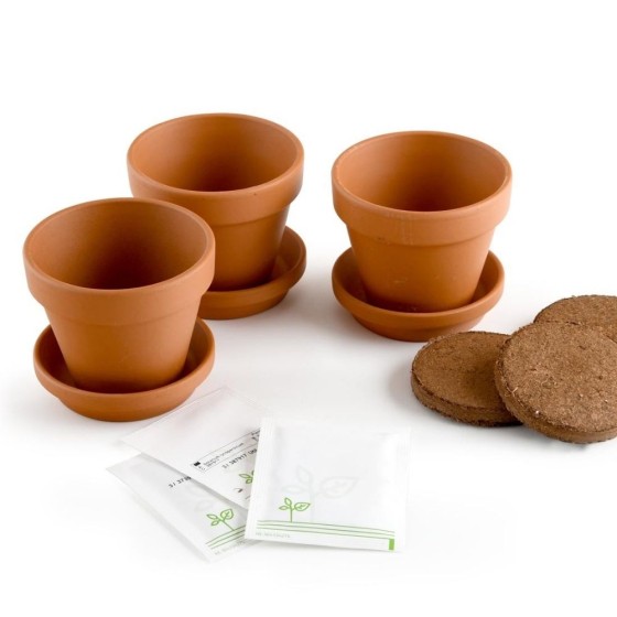 Kit jardinage fleurs grimpants - Trio