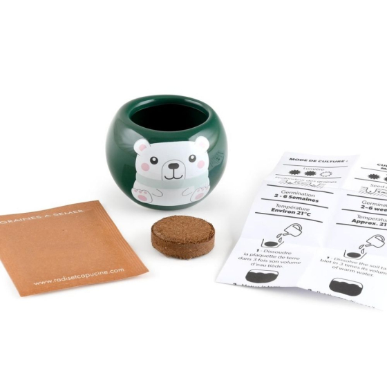 Maison sapin noël - Epicea