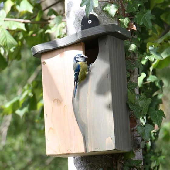 Nichoir avec cavité incurvée : mésanges, moineaux, Gobemouches...