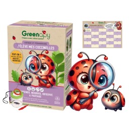 Kit d'élevage de coccinelles - Larves incluses