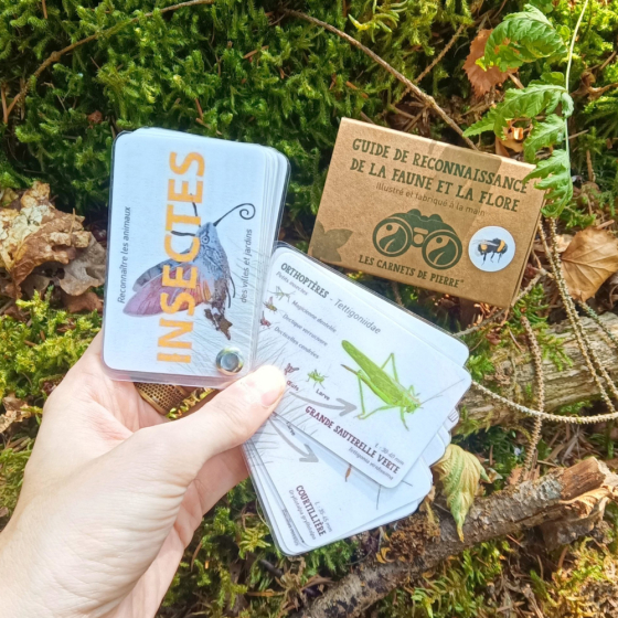 Carnet insectes des jardins