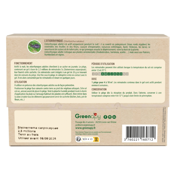 Piège Otiorrhynques adultes