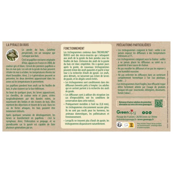 Trichogrammes anti pyrale de buis Tricholine Buxus